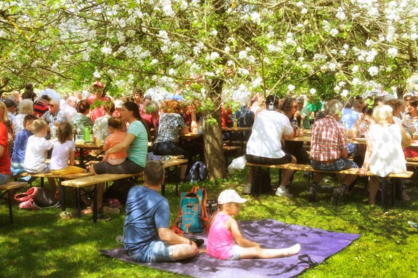Eine Gruppe von Menschen versammelt sich beim Reicherts Maifest unter blühenden Bäumen im Freien, sitzt an Picknicktischen und auf Decken und genießt den sonnigen Tag. Kinder und Erwachsene unterhalten sich in einer lebhaften, entspannten Atmosphäre.